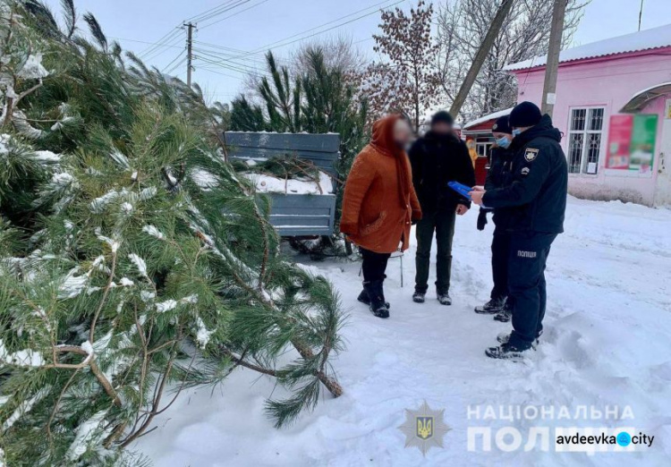 На Донетчине изъяли около трехсот браконьерских елок