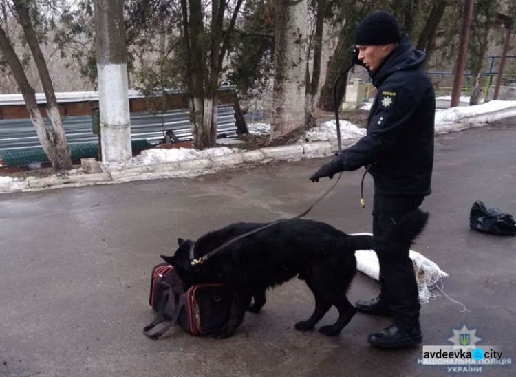 На Донетчину прибыл новый четвероногий отряд