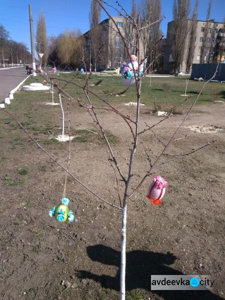 В авдеевском храме Марии Магдалины расцвел пасхальный сад  (ФОТО)