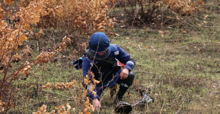 В Авдеевке нашли взрывоопасные предметы