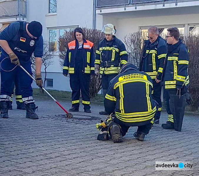 В Германии бригада пожарных спасла толстую крысу (ФОТО+ВИДЕО)