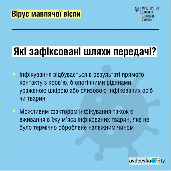 МОЗ України дає роз’яснення про вірус мавпячої віспи