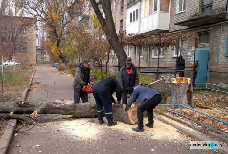 Авдіївці пільгових категорій можуть отримати дрова