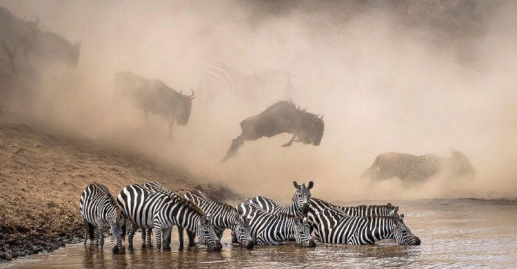 National Geographic выбрал лучшие фото 2019 года