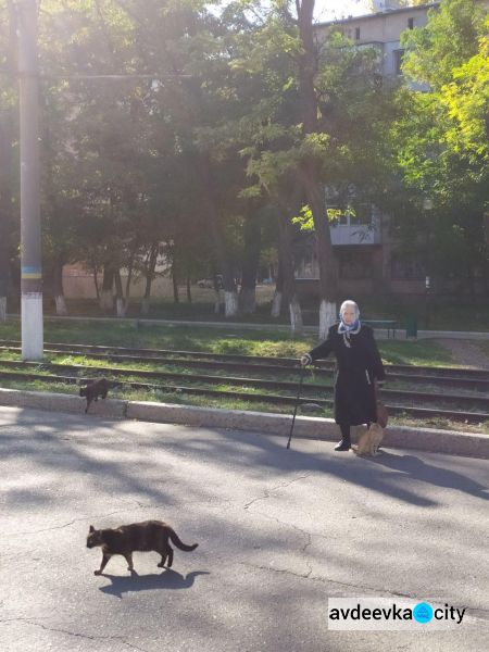 Осень раскрасила прифронтовую Авдеевку в яркие краски (ФОТОРЕПОРТАЖ)