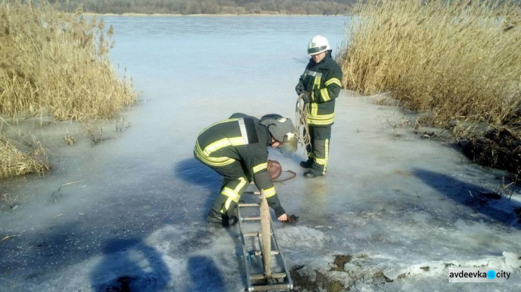 На Донетчине вызволили из ледяного плена раненую косулю (ФОТОФАКТ)