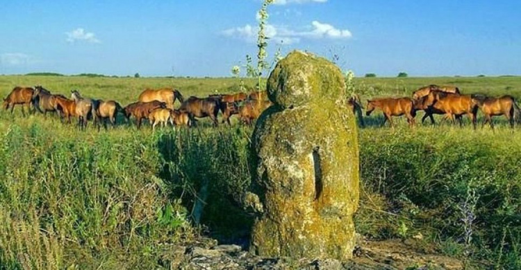 В Донецкой области объявлен большой  краеведческий конкурс  "Донетчина.UA"