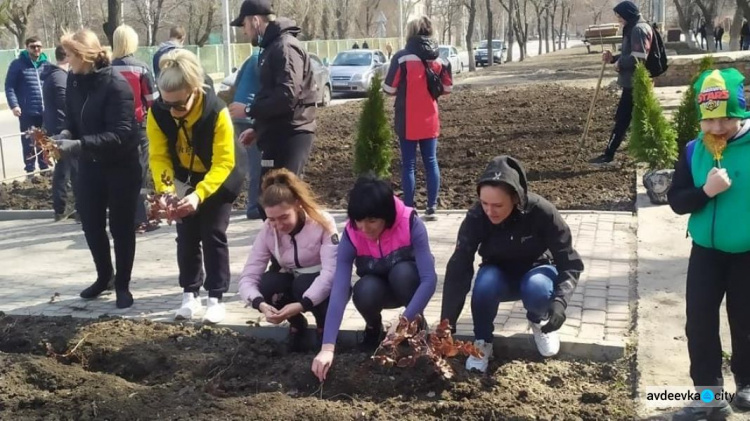 Авдіївці приєдналися до екологічного проекту «Озеленення планети» (ФОТОФАКТ)