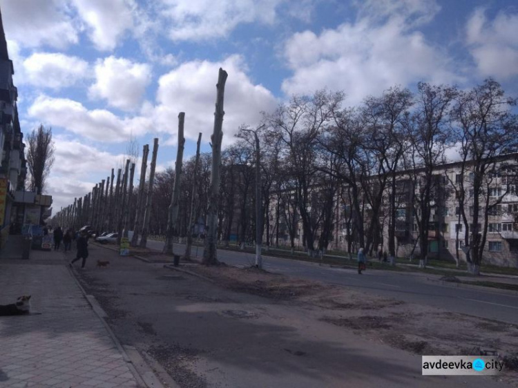 Авдеевка: внешний вид центрального проспекта меняется на глазах (ФОТОФАКТ)