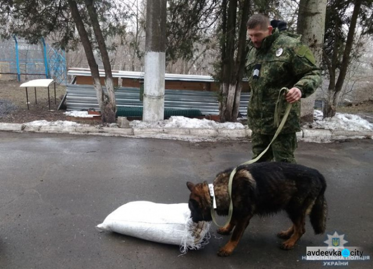 На Донетчину прибыл новый четвероногий отряд