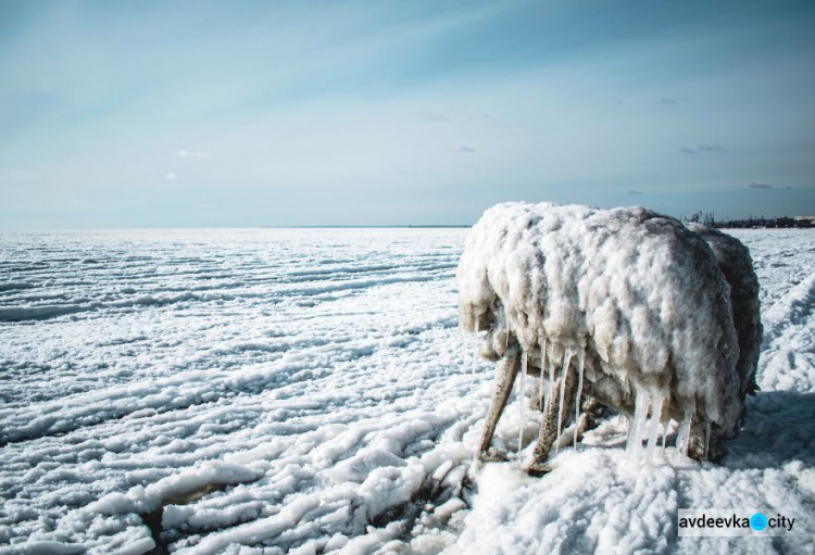 Впечатляющие фото непогоды в Бердянске: море замерзло, а скульптуры обледенели