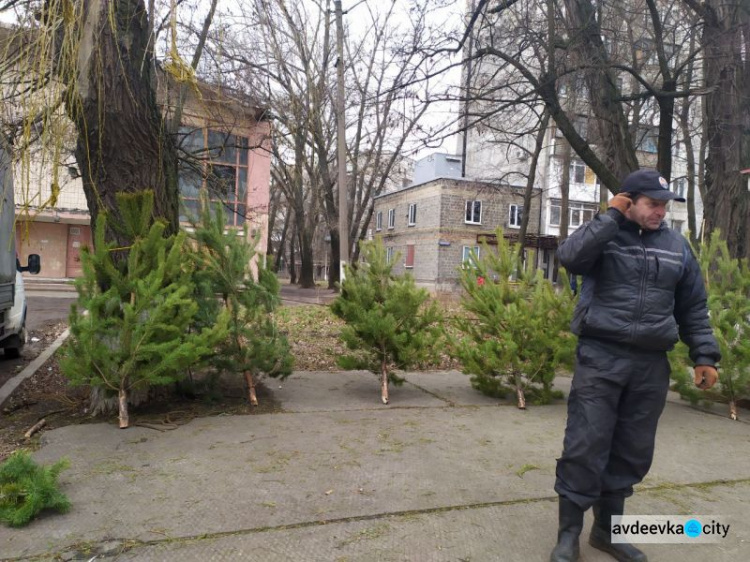 По чём новогодние красавицы в Авдеевке (ФОТО