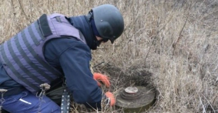 В Україні створюють 80 нових піротехнічних підрозділів для розмінування територій