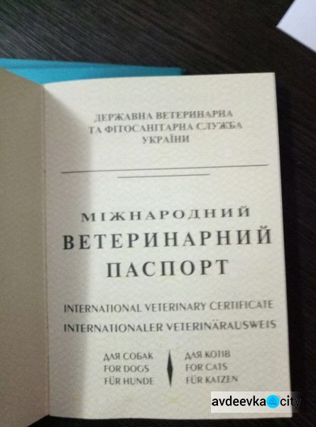 Женщина пыталась провезти через КПВВ в Донецкой области песца, макаку, енота и 8 собак (ФОТО)