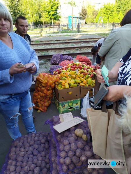 Празднуем День города: как Авдеевка дарами осени закупалась. ФОТОФАКТ