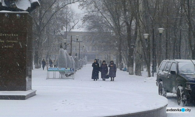 Метель не помешала авдеевцам отметить День Соборности: ФОТОРЕПОРТАЖ