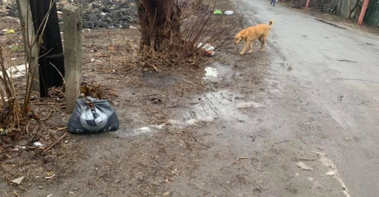 Безвідповідальні мешканці Авдіївки залишають сміття посеред  вулиць