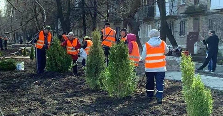 В Авдіївці комунальники озеленяють вулиці самшитом та ялівцем