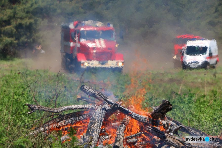 В Донецкой области 16 единиц техники и более 50 спасателей тушили лесной «пожар» (ФОТО)