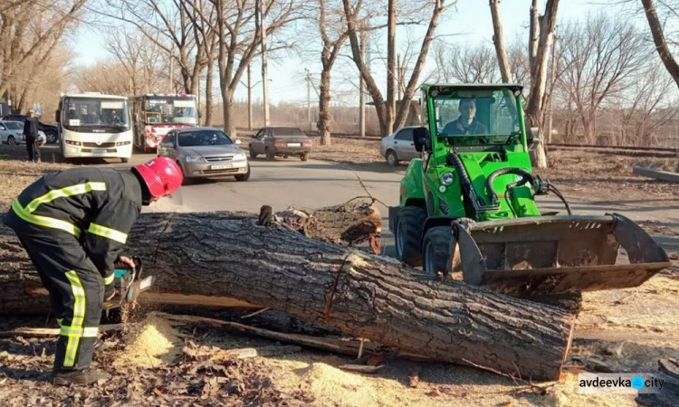 В Авдіївці впале дерево заблокувало рух транспорту