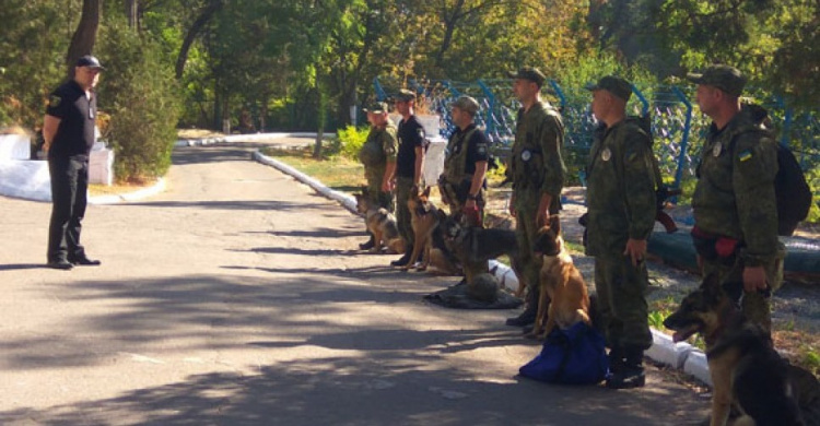 На Донетчину прибыл «собачий отряд» (ФОТО)