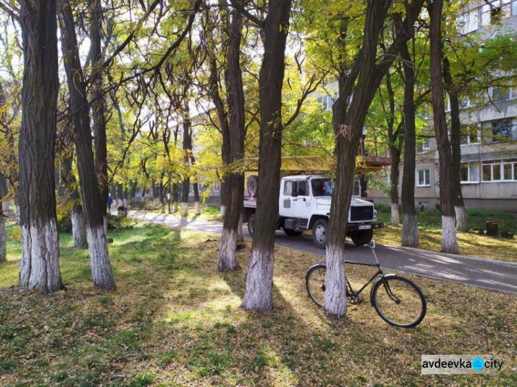 В Авдеевке обрезают аварийные ветви (ФОТОФАКТ)