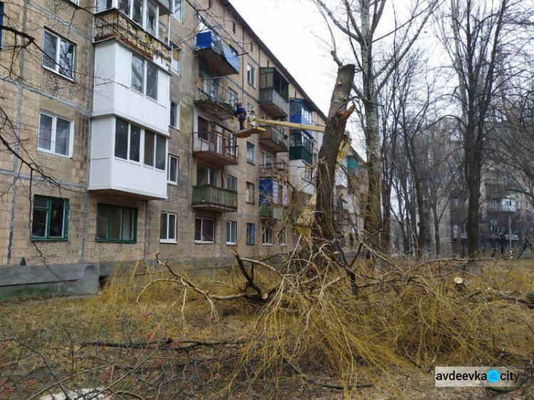 Осторожно! В Авдеевке пилят деревья (ФОТОФАКТ)