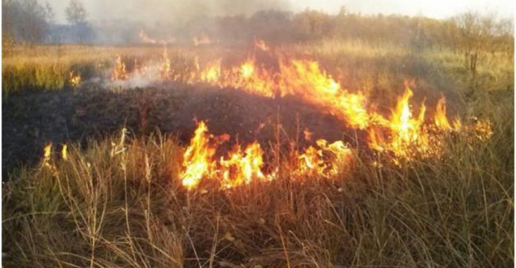 Донетчина стала пожароопасной