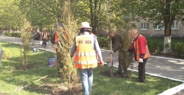 В Авдеевке высаживают «зеленые подарки»: опубликованы фото