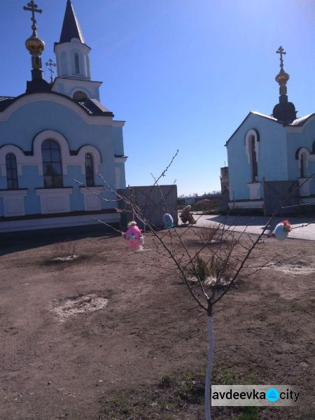 В авдеевском храме Марии Магдалины расцвел пасхальный сад  (ФОТО)