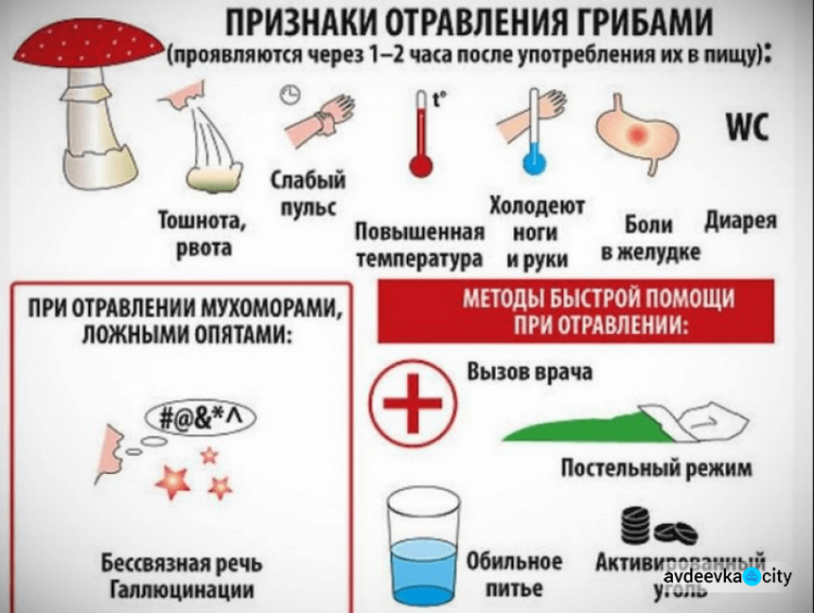 Грибной удар: как не стать жертвой отравления и как бороться с его последствиями