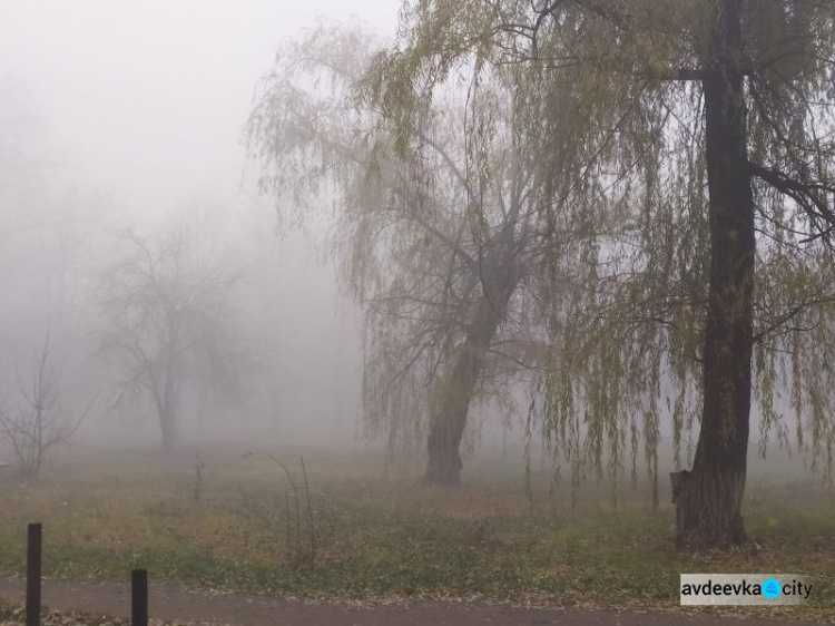 Авдеевка в плену тумана (ФОТОФАКТ)