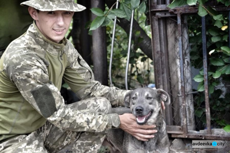 Пес по кличке Военный оберегает Авдеевку (ФОТО)