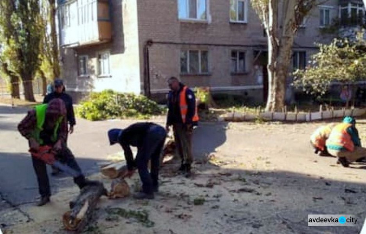 В Авдеевке коммунальщики удаляют аварийные деревья