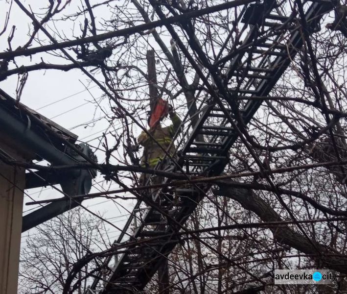 На Донецкую область обрушился сильный ветер, спасатели убирают поваленные деревья (ФОТО)