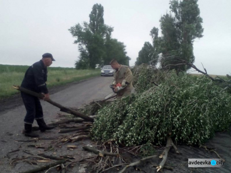 Как Донетчина пережила ураганный удар (ФОТО)