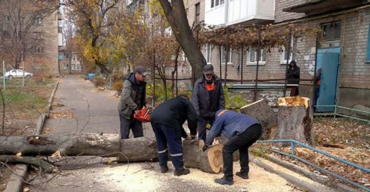 Авдіївці пільгових категорій можуть отримати дрова