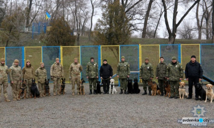 На Донетчине появились необычные «спецназовцы» с дипломом: опубликованы фото