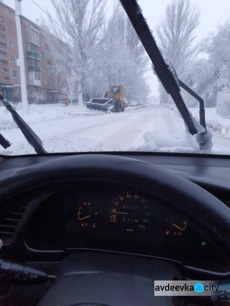 Поваленные деревья и сломанные ветки: последствия сильного снегопада в Авдеевке