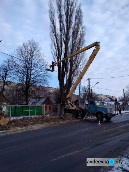 В Авдеевке коммунальщики удаляют аварийные деревья