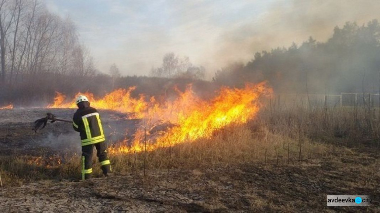 Авдіївка: біля зупинки відбулась пожежа