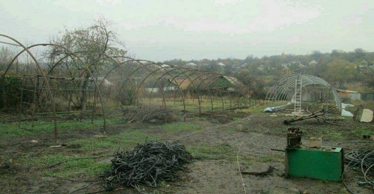 Авдеевские куркули сделали ставку на теплицы (ФОТО)