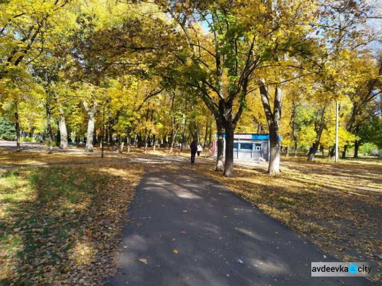 Осень раскрасила прифронтовую Авдеевку в яркие краски (ФОТОРЕПОРТАЖ)