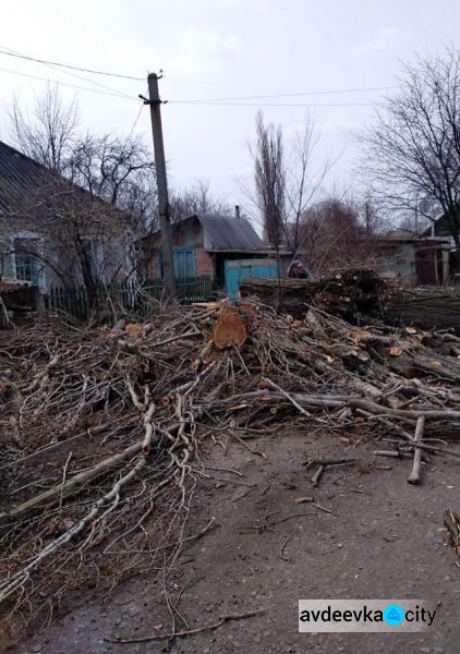 Комунальники Авдіївки проводять санітарку обрізку та видалення аварійних дерев