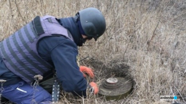 В Україні створюють 80 нових піротехнічних підрозділів для розмінування територій