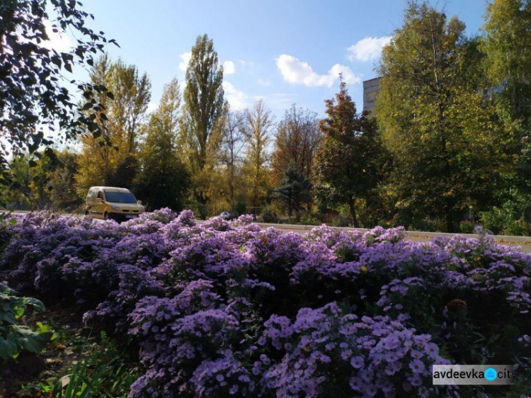 Осень раскрасила прифронтовую Авдеевку в яркие краски (ФОТОРЕПОРТАЖ)