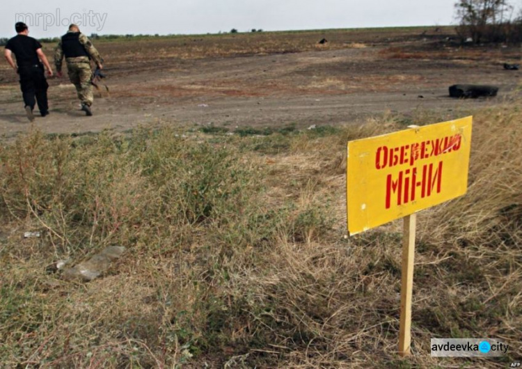 Голландия поможет Украине с разминированием Донбасса