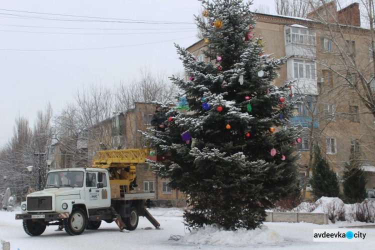 В Авдеевке раздели зеленых красавиц (ФОТОФАКТ)