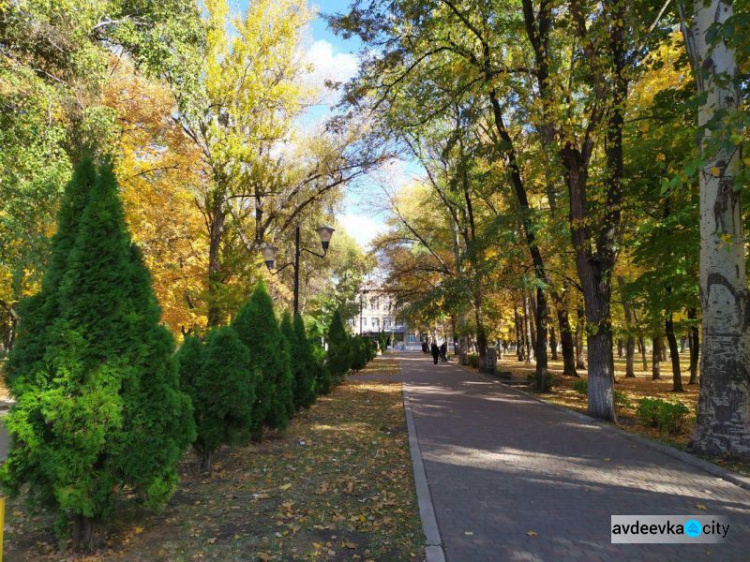 Осень раскрасила прифронтовую Авдеевку в яркие краски (ФОТОРЕПОРТАЖ)