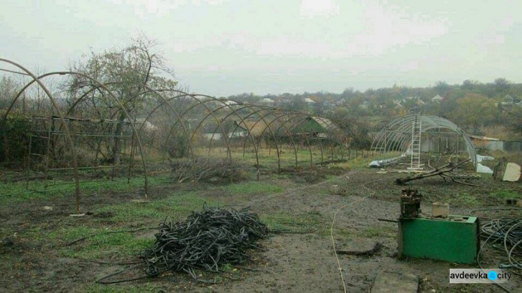 Авдеевские куркули сделали ставку на теплицы (ФОТО)